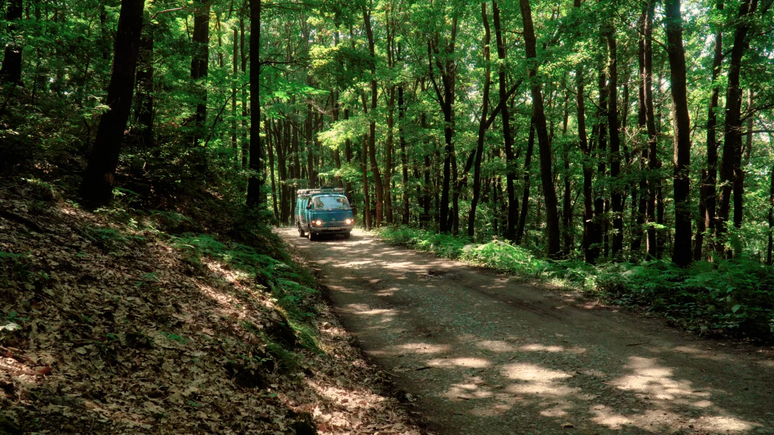 Les plus belles pistes et routes de Roumanie à faire en van
